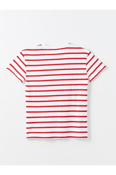LC Waikiki Crew Neck Striped Women's T-Shirt