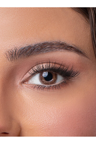 Anesthesia 6 Months Addict Marron Lenses