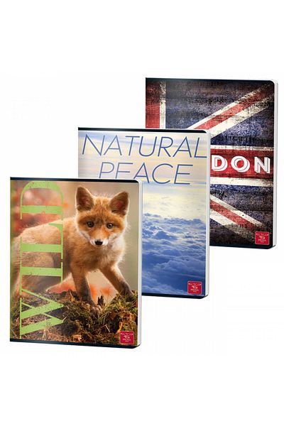 PIGNA , Notebook A4 60 Pages, Plain Ruling, Color Cover, Stapled Binding