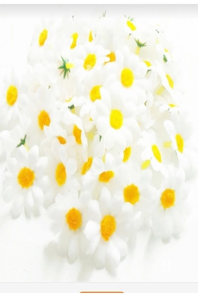 ipekhobi Papatya Çiçek 50 adet