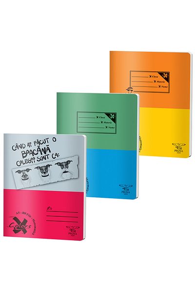 PIGNA , Notebook A5 80 Pages, Arithmetic Ruling, Basic Cover, Stapled Binding