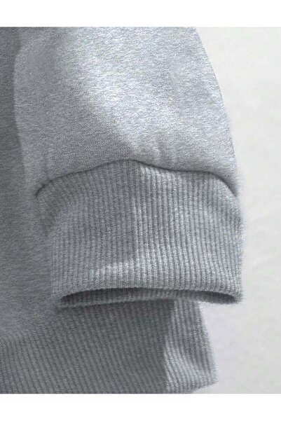 caddekombin Basic Crew Neck Gray Sweatshirt with Wool Inside