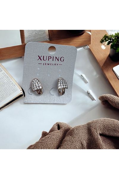 İNN JEWELLERY Steel Earrings Anti-Tarnish Anti-Allergic Zirconium Figured (2 Years Importor Warranty)