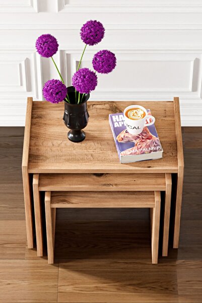 Ceramical Zg4 Nesting Table , Coffee Table Set Of 3 , Home Small Space - Pine