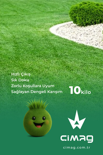 çimag Poa Pratensis Çim Tohumu - 10 kg (Çayır Salkım Otu)