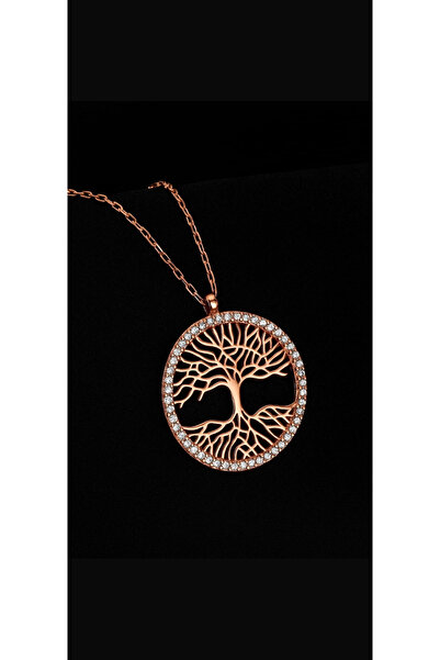 Bilsen Store 925 Ayar Gümüş Zincirli Zirkon Taşlı Yaşam Çiçeği Kolye