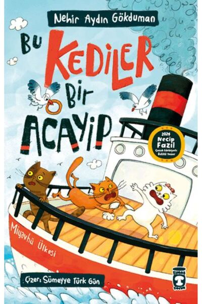 New Age Yayınları This Cat Is a Wonderful