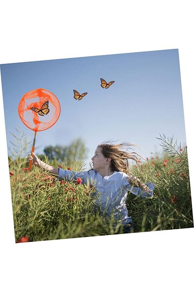 GÜVEN Aquarium Scoop That Can Gradually Extend and Shorten Pool Scoop Butterfly Bird Fish Catching Scoop