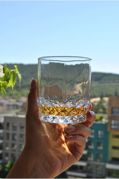 Qualitev Set of 2 Glass Whiskey Glass Cocktail Glass 340 ml