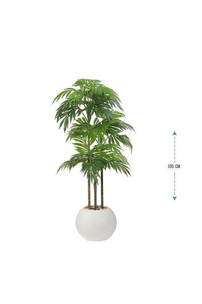 Ch 3-branch palm tree in a 105cm plastic pot