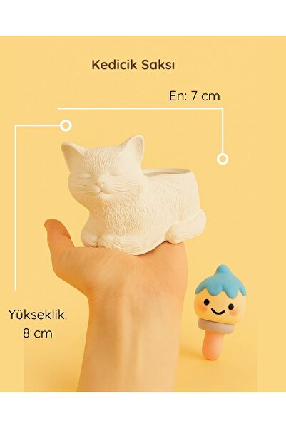 colorbuddie Kedicik Seramik Saksı | Boyanabilir El Yapımı Beton Tozu Obje