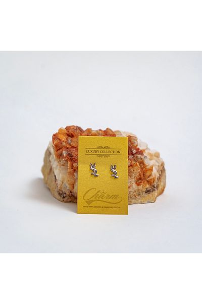 CHARM Small decorative initial earrings – Charm