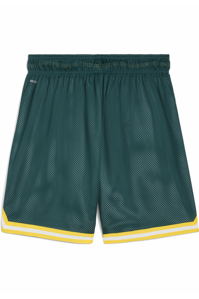 Puma PUMA HOOPS x SE PALMEIRAS Basketball Shorts Men