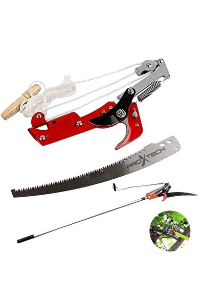 rigour Yüksek Irtifa Uzatma Yüksek Dal Budama Tepe Makası Testere Teleskopik Sap