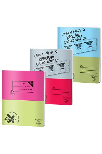 PIGNA Dictando Notebook, A5 Size, 80 Sheets, Basic Line, Softcover, School Use
