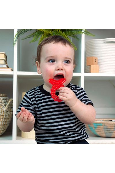 Baby Einstein - Teething Toy “Ocean Explorers Cool Critters”, 3 months +