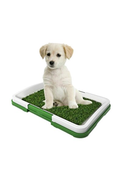 SUPER TRENDS Toaleta Tip Litiera cu Covor Din Iarba Artificiala URBAN TRENDS®, Pentru Caini/Pisici/Alte Animale