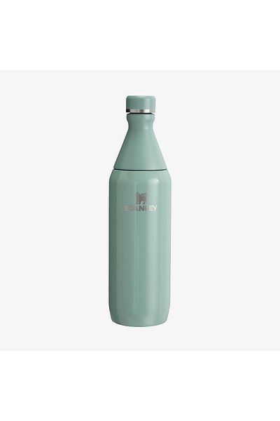 Stanley 0.60 Lt - The All Day Slim Cold Water Bottle