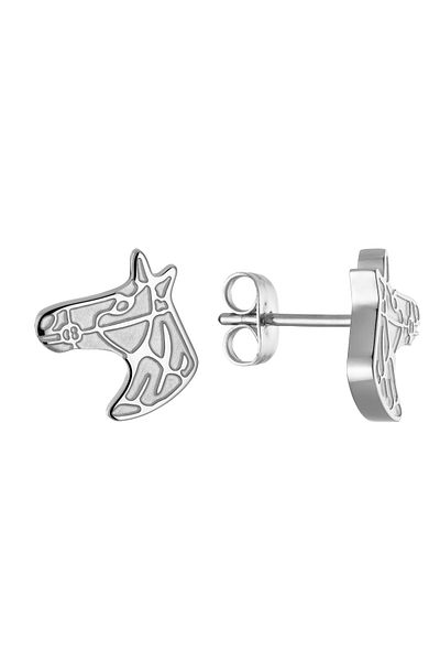 Energetix Magnetic Energy Earrings