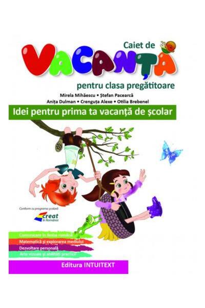 Editura Intuitext Caiet de vacanta pentru clasa pregatitoare, Stefan