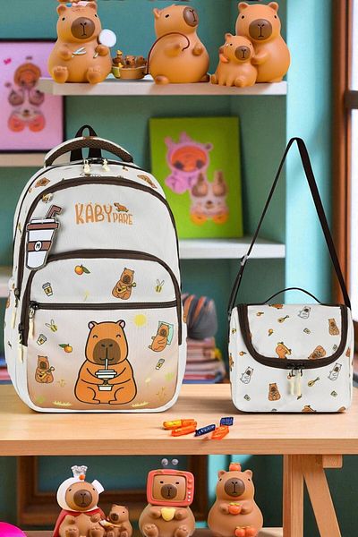 Shopiolog Primary School Orthopedic Waterproof 3 Compartment Primary School Boy's Backpack with Water Bottle