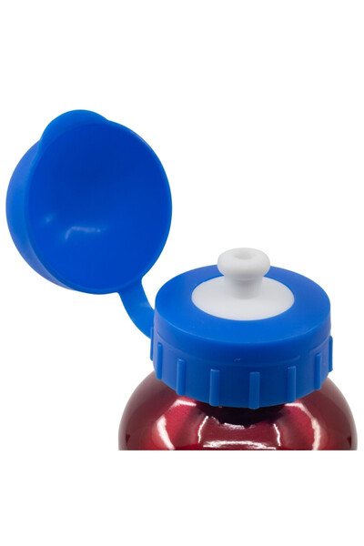 SPIDERMAN Water Bottle, For Children, Aluminum, Bpa Free, Multicolor, 500 Ml, Arachnid,