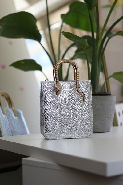 Moom Bag Geantă de umăr cu lanț cu mâner pentru femei Silver Snake