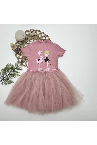 Ramby 5-6-7 Years Flamingo Ballerina Girl Printed Ribbon Belted Lined Girl Kids Tutu Dress Rose Dried