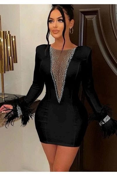 MD Kumsal Women's Diver Fabric Tulle and Stone Accessories Sleeves Feather Mini Length Dress