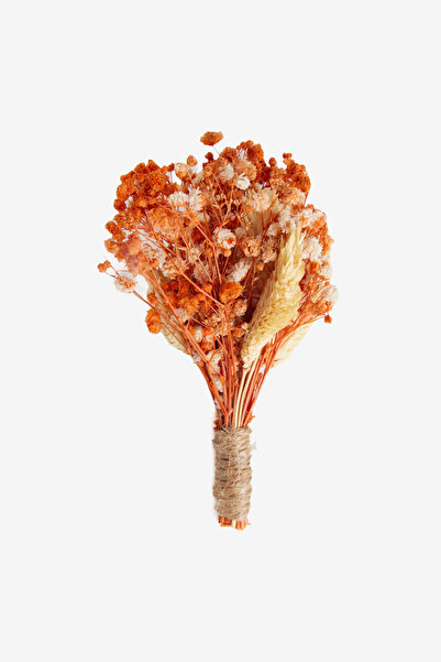 ALTINYILDIZ CLASSICS Men's Beige-Orange Patterned Boutonniere