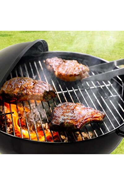 Generic Trolley Charcoal Barbecue Grill A picnic BBQ Outdoor Patio Garden with Side Trays and Storage Shelf