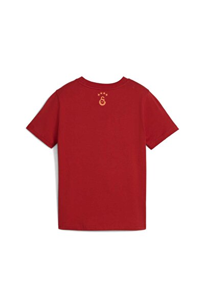 Puma Galatasaray Ftblculture Youth T-Shirt