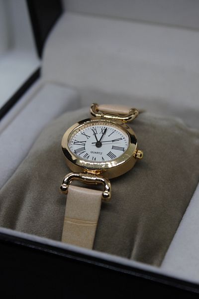 Ricardo Brand Roman Numeral Oval Case Minimal Snakeskin Wristwatch