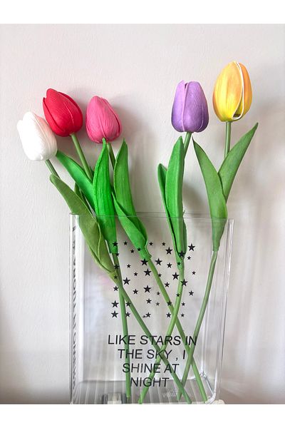 DEFORA Mika Book Pinterest Vase and Mixed Color Wet Look Tulip