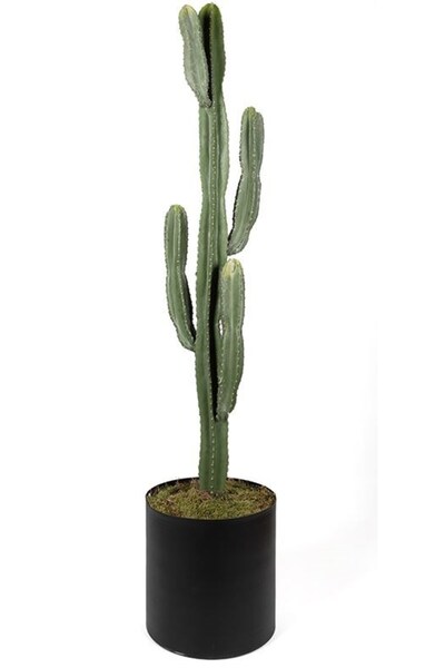 Laromita Decoration KAKTÜS 155CM