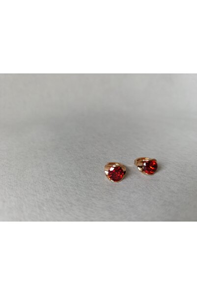 Ahsen Çelik Kırmızı Taşlı Küpe