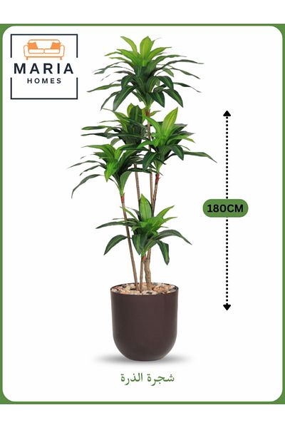 MARIA HOMES Artificial Corn Leaf Tree 180 cm – Indoor Faux Plant with Brown Pot