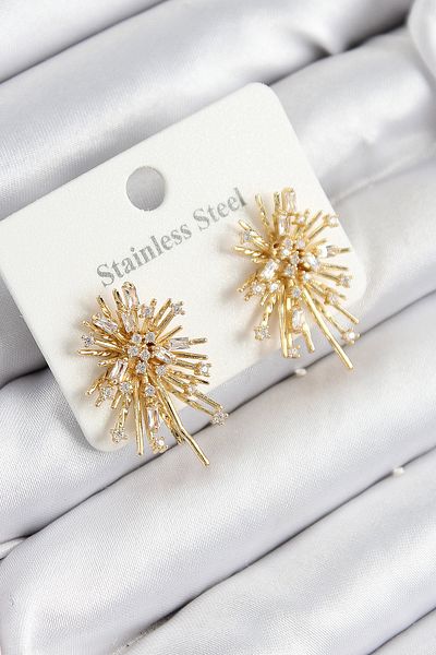 Store 316L Steel Zircon Stone Aurora Sparkle Model Gold Color Women's Earrings