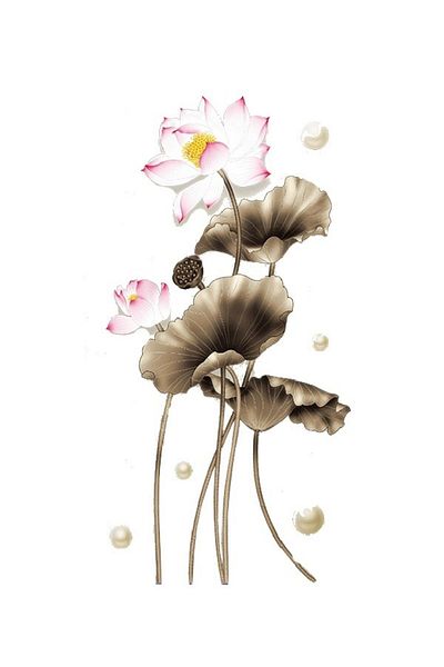 BV Decorative sticker, Flowers, 112 cm, 751STK