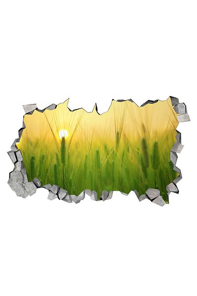 BV Decorative sticker, hole in the wall 3D, Sunrise, 85 cm, 169STK-1