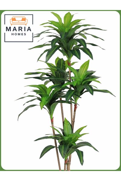 MARIA HOMES Artificial Corn Leaf Tree 180 cm – Indoor Faux Plant with Brown Pot