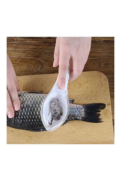 BV Fish scaler with lid, Green, 16 cm, HML36
