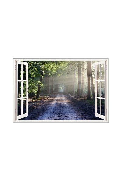 BV Decorative sticker, 3D window, Forest, 85 cm, 517PCS