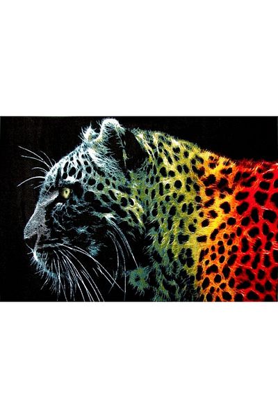 Kolibri Carpet Covorexpert Leopard Black 11016-180, 120 x 170 cm, Multicolor, 9 mm Thread, Anti-Allergic, Living Room