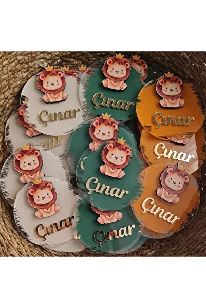 ELF REKLAM Newborn Magnet with Lion Figure 1 Year Old Magnet 10 Pieces