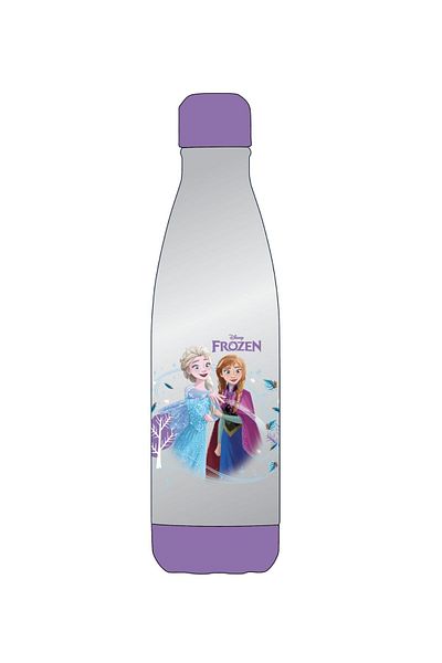 TSUMAB Frozen Stainless Steel Water Bottle – 500ml, Leak-Proof, Elsa & Anna Design