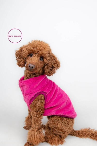 salya store Dog Outfit -Rabbit Dog Jacket with Zipper
