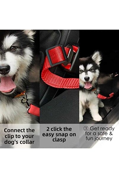 Ankaflex Pet Cat - Dog Vehicle Seat Belt 2 Pieces Hold Your Dog