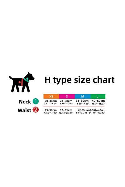 Tailpetz H-tip Rainbow L Medium and Large Breed Dog Collar (chest 62 Cm X 107...