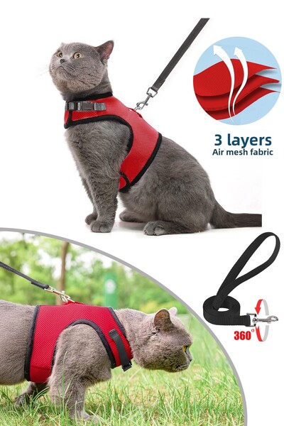 nefertiti cosmetic طقم من 3 طبقات من شبكة الجيل الجديد من مقود صدر القطط المسامي باللون الأحمر